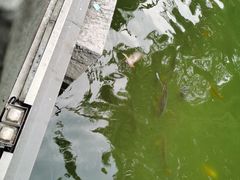 -济南大明湖景区