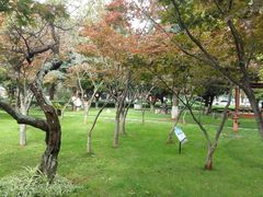 -云南师范大学(一二一西南联大校区)