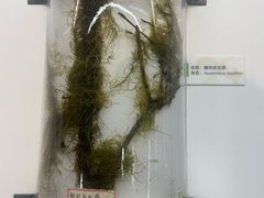 -浙江自然博物院(杭州馆)