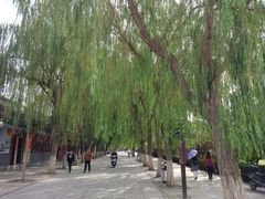 -张掖大佛寺景区