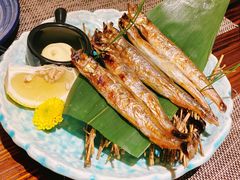 -KITON喜豚(清晖园店)