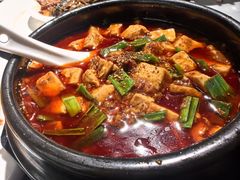 -陈麻婆豆腐总店