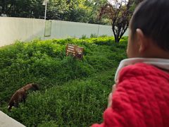 -合肥野生动物园