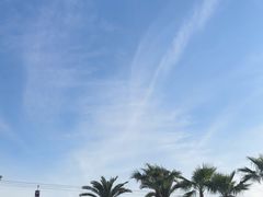 -上海海昌海洋公园