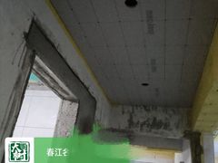 -大树装饰·十年本土家装