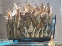 -海都六福酒家(世博广场店)
