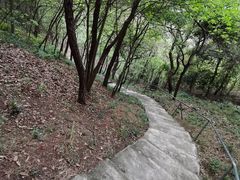 -滴水岩森林公园