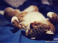 iphone_upload_pic-古都梅按摩足浴(世界广场店)