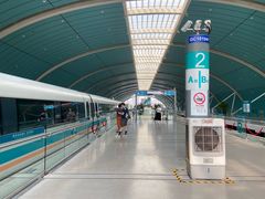 -龙阳路磁悬浮列车总站-停车场