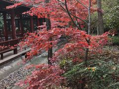 -和县香泉温泉度假村