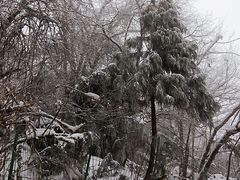-九峰山