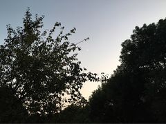 -花溪公园