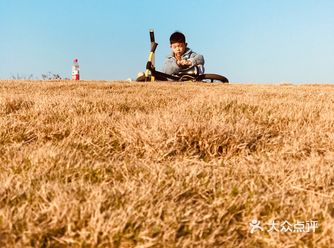 家门口的这片土地越来越美了