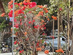 -燕青小馆(东园大厦店)