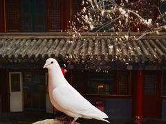 -潭柘寺景区