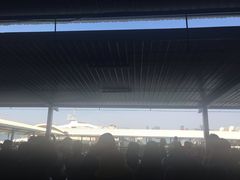 -国际邮轮中心码头(厦鼓码头)