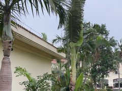 -海口喜来登酒店