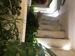 -小时光咖啡馆(北锣鼓巷店)