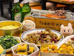 -福苗小骆驼烧烤(莲湖路店)