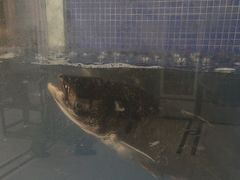 -香山湖渔家大院