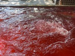 -春晖园度假酒店温泉