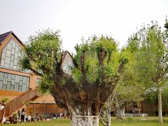 -中国艺术研究院油画院