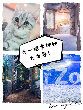 六一去哪儿去MR·ZOO探索神秘大世界