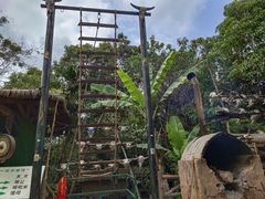 -海南槟榔谷黎苗文化旅游区