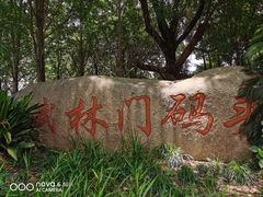 -运河游船(武林门码头)