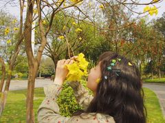 -雀儿山公园