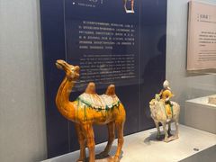 -镇江博物馆