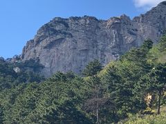 -大芦花风景区