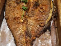 罗布泊烤鱼-纳瓦新疆菜(银都店)