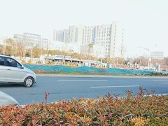 -上海市第六人民医院(临港院区)