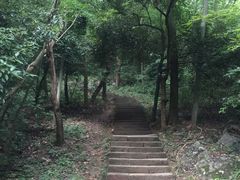 -九曜山