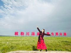-敕勒川草原