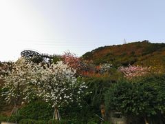 -小南山公园