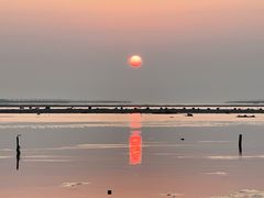 -北岐滩涂