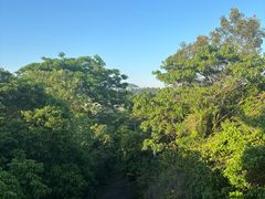-碧水湾温泉