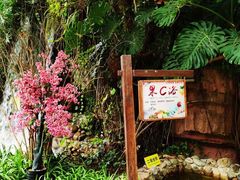 -嘉和K6温泉微度假