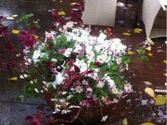 iphone_upload_pic-新竹里馆·花园餐厅(兴苑路店)