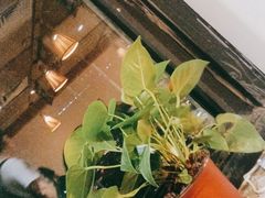 -管氏翅吧(国展店)