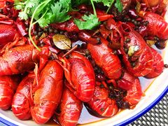 -济南喜来登酒店