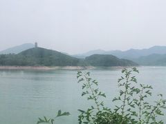 -望湖烤鱼