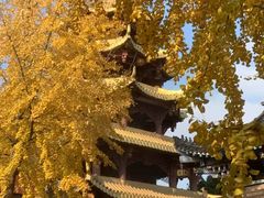 -宝光寺