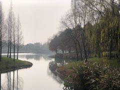 -尚贤河湿地