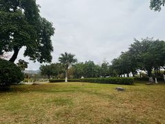 -飞来湖湿地公园
