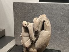 -四川大学博物馆