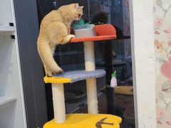 -萌兽医馆·眼科·异宠专科(三里屯店)