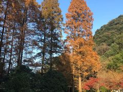 -天明山温泉大酒店